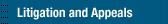 Litigation and Appeals